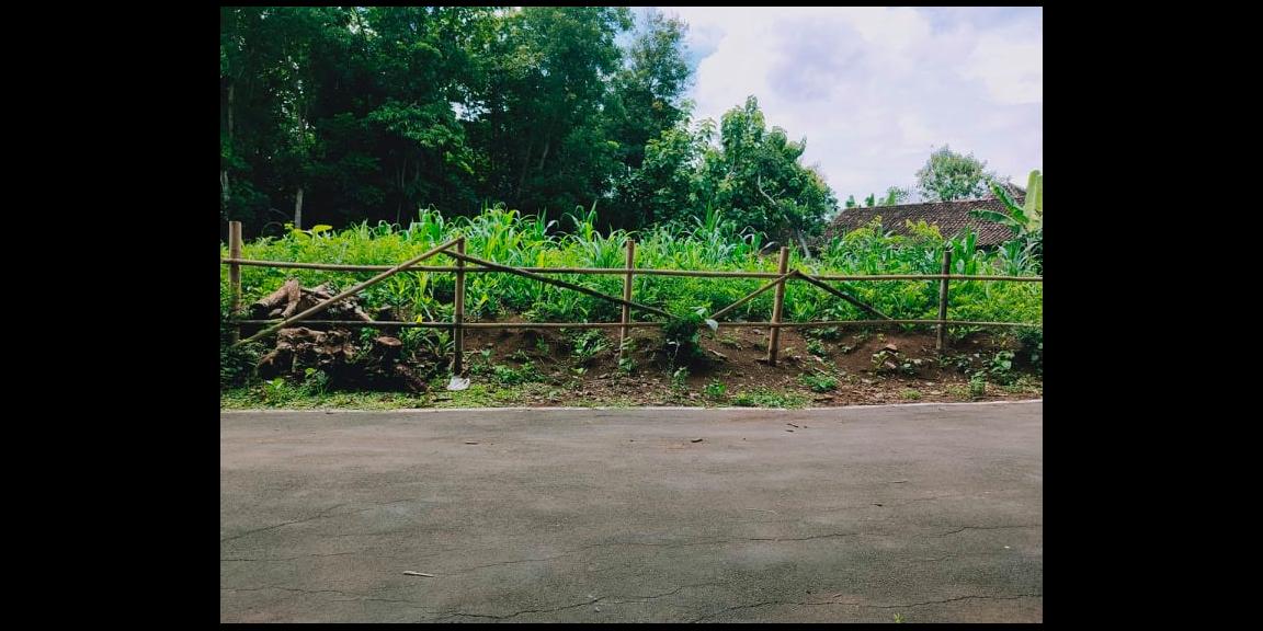 Tanah Strategis Buka Usaha dan Tempat Tinggal Tasikmadu Karanganyar Tanah Strategis Buka Usaha dan Tempat Tinggal Tasikmadu Karanganyar