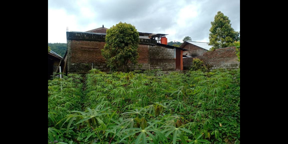 Tanah Dibangun Vila Kawasan Kebun Teh Kemuning Ngargoyoso Karanganyar Tanah Dibangun Vila Kawasan Kebun Teh Kemuning Ngargoyoso Karanganyar