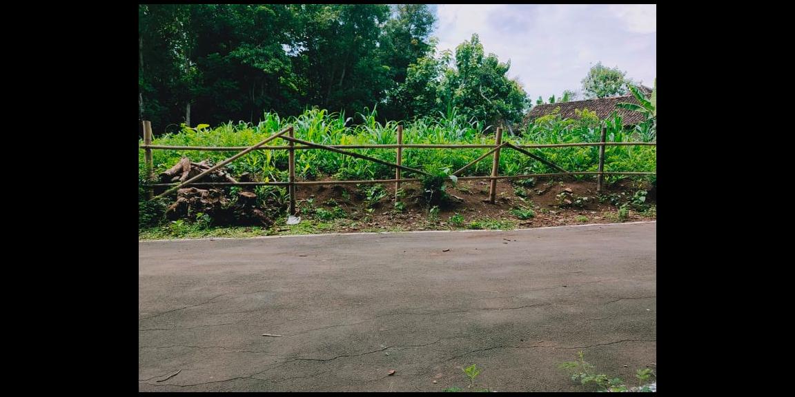 Tanah Strategis Buka Usaha dan Tempat Tinggal Tasikmadu Karanganyar Tanah Strategis Buka Usaha dan Tempat Tinggal Tasikmadu Karanganyar