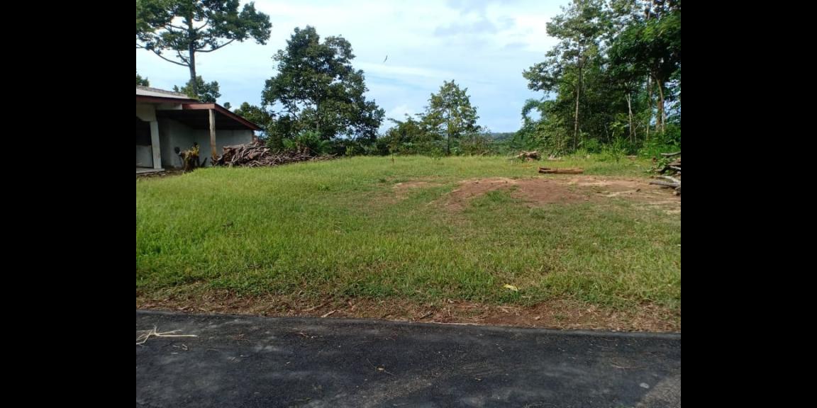 Tanah Siap Dibangun Wisata Alam Karangpandan Karanganyar Tanah Siap Dibangun Wisata Alam Karangpandan Karanganyar