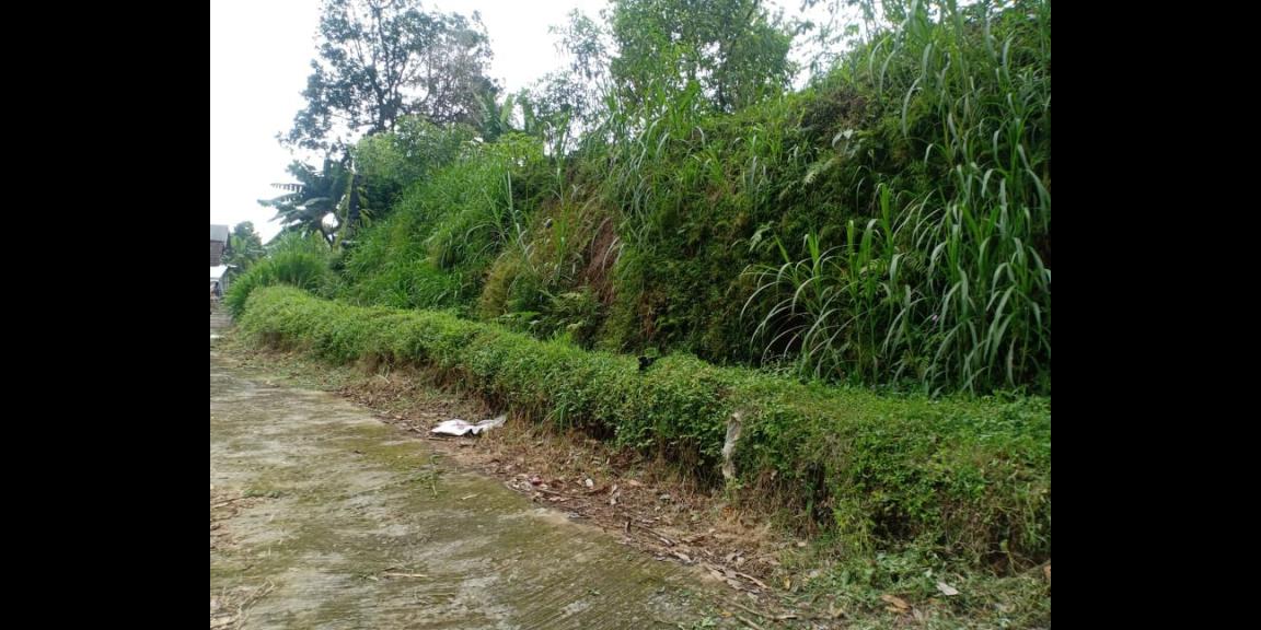 Tanah Dibangun Vila Kawasan Kebun Teh Kemuning Ngargoyoso Karanganyar Tanah Dibangun Vila Kawasan Kebun Teh Kemuning Ngargoyoso Karanganyar