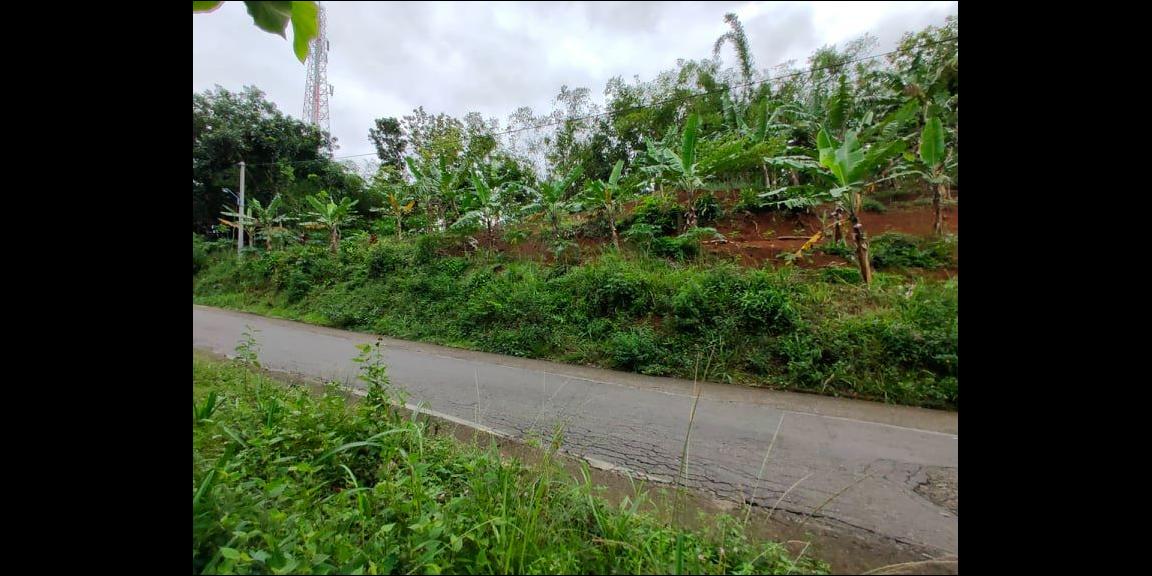 Tanah Subur Strategis Tepi Jl. Raya Kerjo-Kemuning Kerjo Karanganyar Tanah Subur Strategis Tepi Jl. Raya Kerjo-Kemuning Kerjo Karanganyar