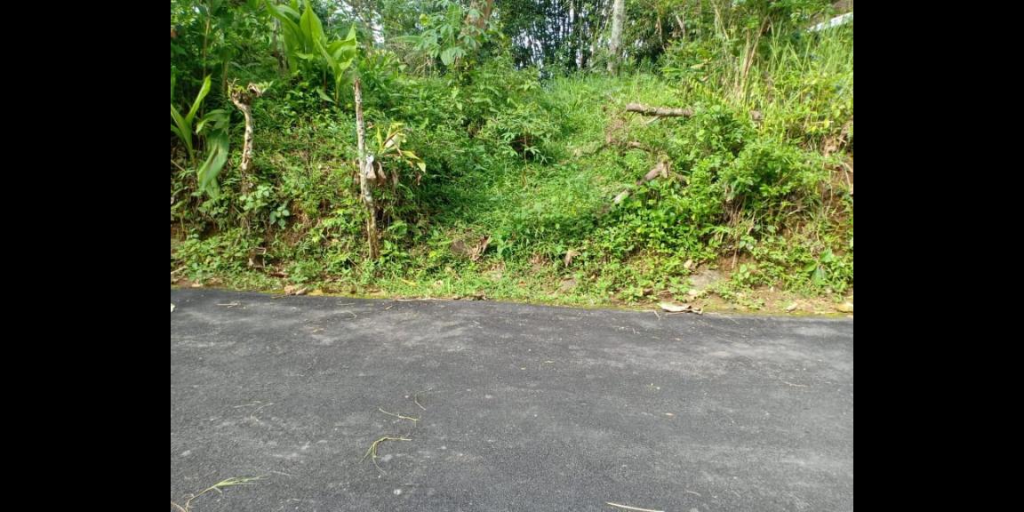 Tanah Siap Dibangun Wisata Alam Karangpandan Karanganyar Tanah Siap Dibangun Wisata Alam Karangpandan Karanganyar