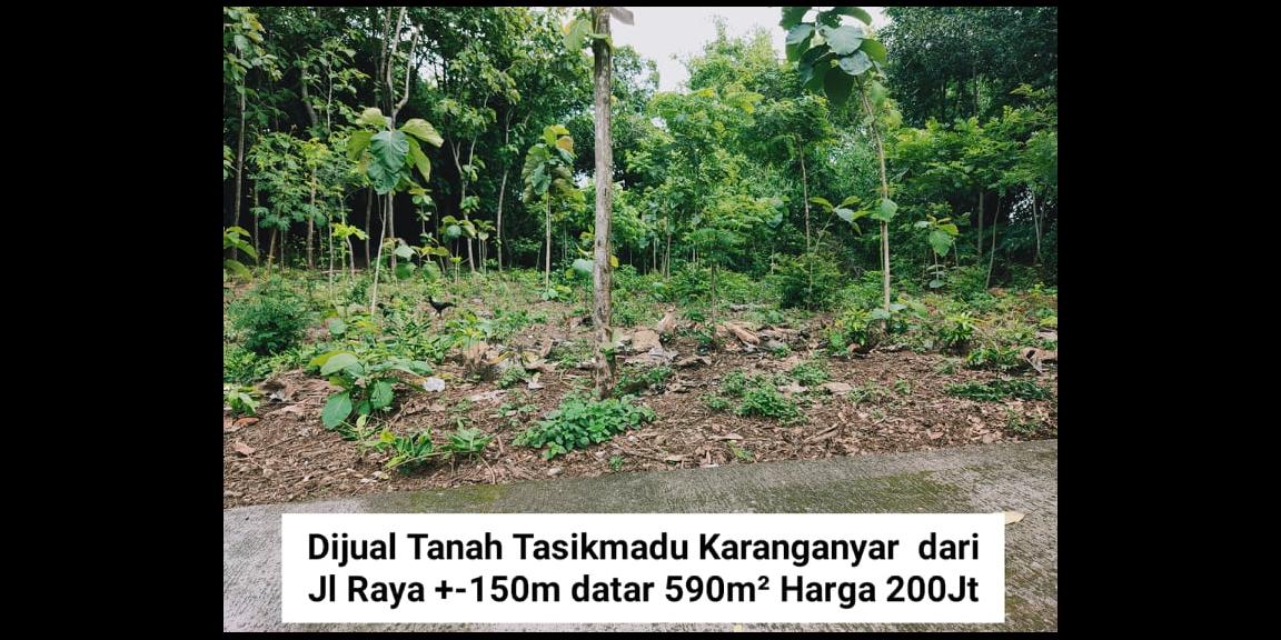 Tanah Kebun Jati Strategis Dibangun Rumah Tasikmadu Karanganyar Tanah Kebun Jati Strategis Dibangun Rumah Tasikmadu Karanganyar