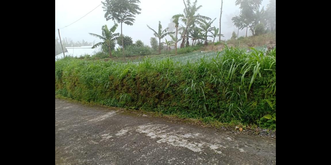 Tanah 2400m² Datar Kemuning Ngargoyoso Karanganyar Tanah 2400m² Datar Kemuning Ngargoyoso Karanganyar