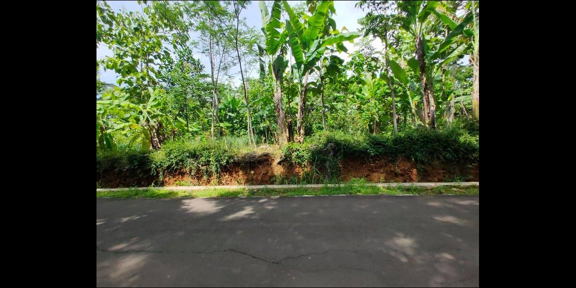 Tanah Datar Siap Dibangun Utara Pasar Mojogedang Karanganyar Tanah Datar Siap Dibangun Utara Pasar Mojogedang Karanganyar