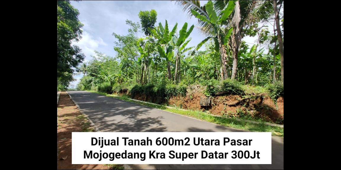 Tanah Datar Siap Dibangun Utara Pasar Mojogedang Karanganyar Tanah Datar Siap Dibangun Utara Pasar Mojogedang Karanganyar