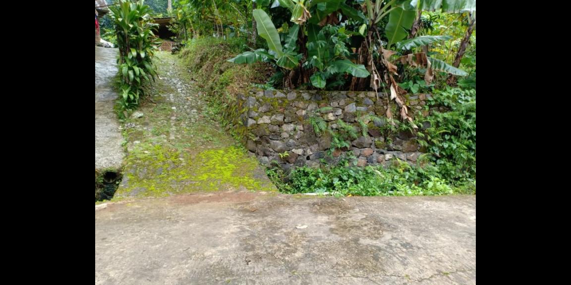 Tanah View Sawah Utara Pasar Karangpandan Karanganyar Tanah View Sawah Utara Pasar Karangpandan Karanganyar