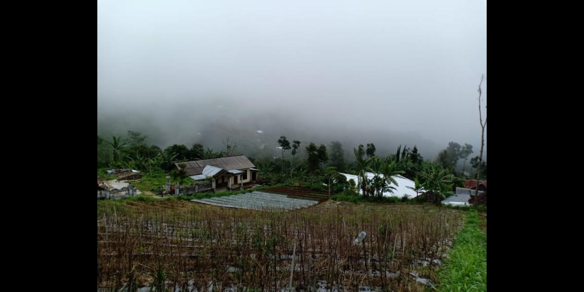 Tanah 2400m² Datar Kemuning Ngargoyoso Karanganyar Tanah 2400m² Datar Kemuning Ngargoyoso Karanganyar