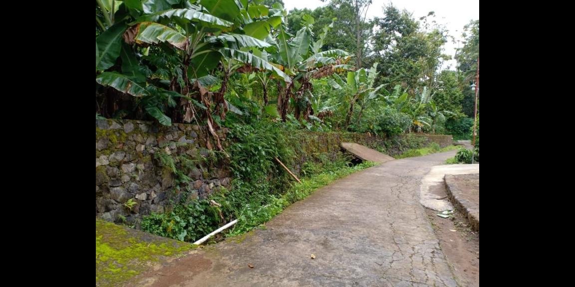 Tanah View Sawah Utara Pasar Karangpandan Karanganyar Tanah View Sawah Utara Pasar Karangpandan Karanganyar