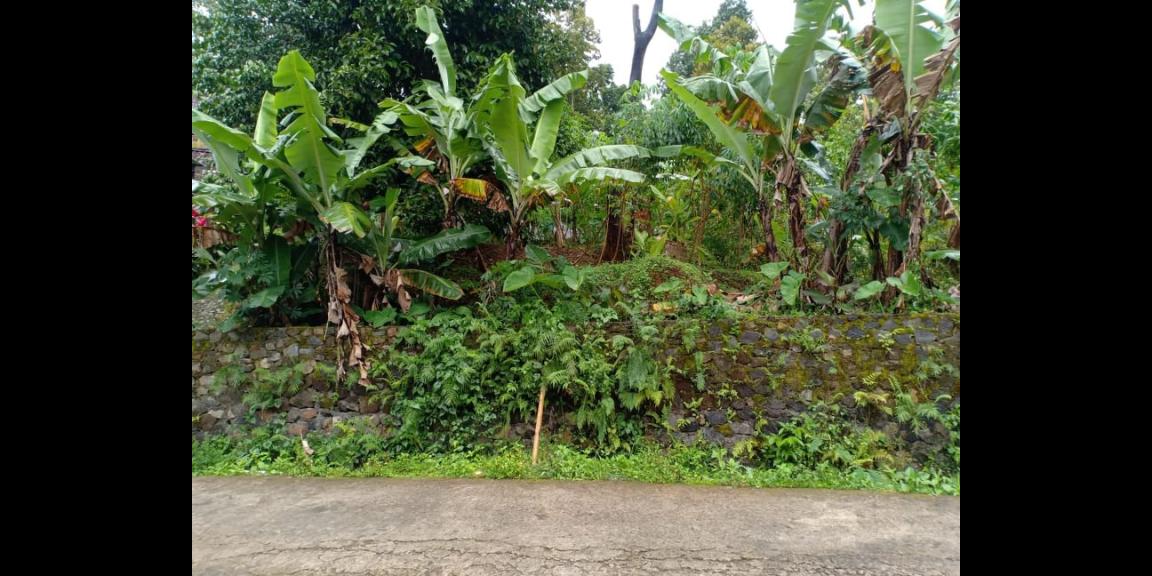 Tanah View Sawah Utara Pasar Karangpandan Karanganyar Tanah View Sawah Utara Pasar Karangpandan Karanganyar