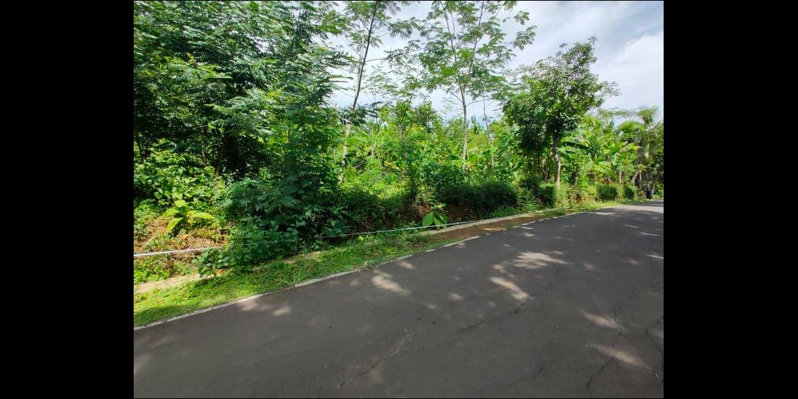 Tanah Datar Siap Dibangun Utara Pasar Mojogedang Karanganyar Tanah Datar Siap Dibangun Utara Pasar Mojogedang Karanganyar