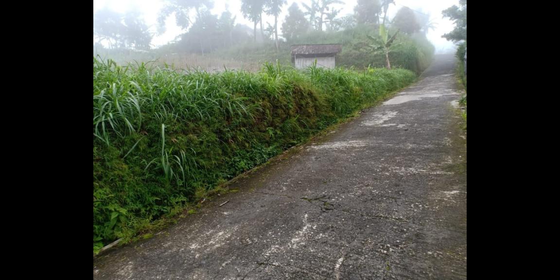 Tanah 2400m² Datar Kemuning Ngargoyoso Karanganyar Tanah 2400m² Datar Kemuning Ngargoyoso Karanganyar