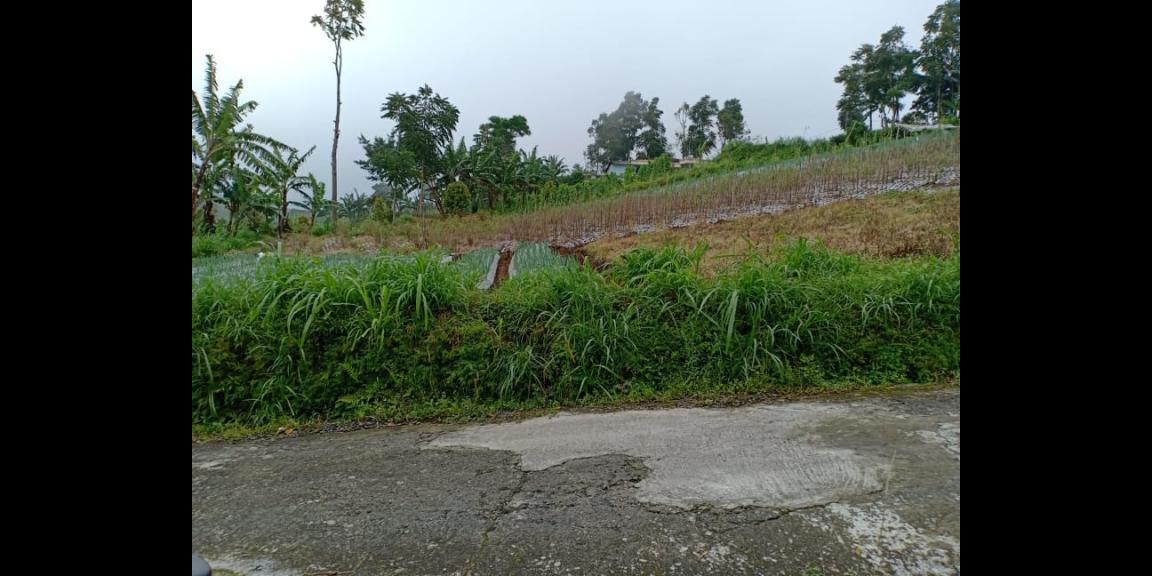 Tanah 2400m² Datar Kemuning Ngargoyoso Karanganyar Tanah 2400m² Datar Kemuning Ngargoyoso Karanganyar