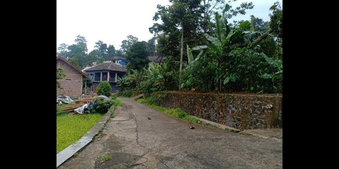 Tanah View Sawah Utara Pasar Karangpandan Karanganyar Tanah View Sawah Utara Pasar Karangpandan Karanganyar