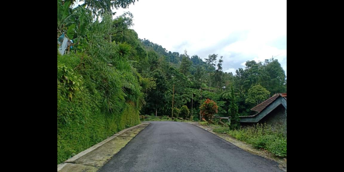 Tanah Tepi Jl. Raya View Kebun Teh Kemuning Ngargoyoso Karanganyar Tanah Tepi Jl. Raya View Kebun Teh Kemuning Ngargoyoso Karanganyar