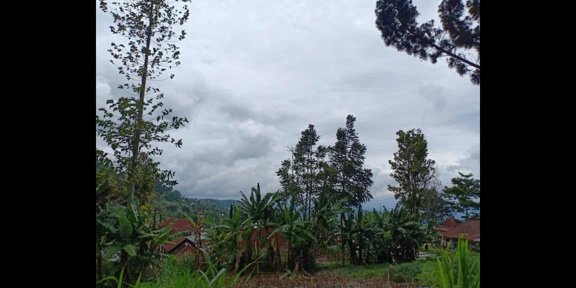 Tanah Strategis Dibangun Vila Dekat Parang Ijo Kemuning Ngargoyoso Kra Tanah Strategis Dibangun Vila Dekat Parang Ijo Kemuning Ngargoyoso Kra