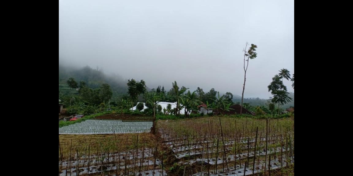 Tanah 2400m² Datar Kemuning Ngargoyoso Karanganyar Tanah 2400m² Datar Kemuning Ngargoyoso Karanganyar