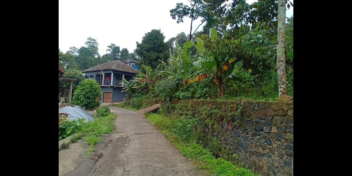 Tanah View Sawah Utara Pasar Karangpandan Karanganyar Tanah View Sawah Utara Pasar Karangpandan Karanganyar