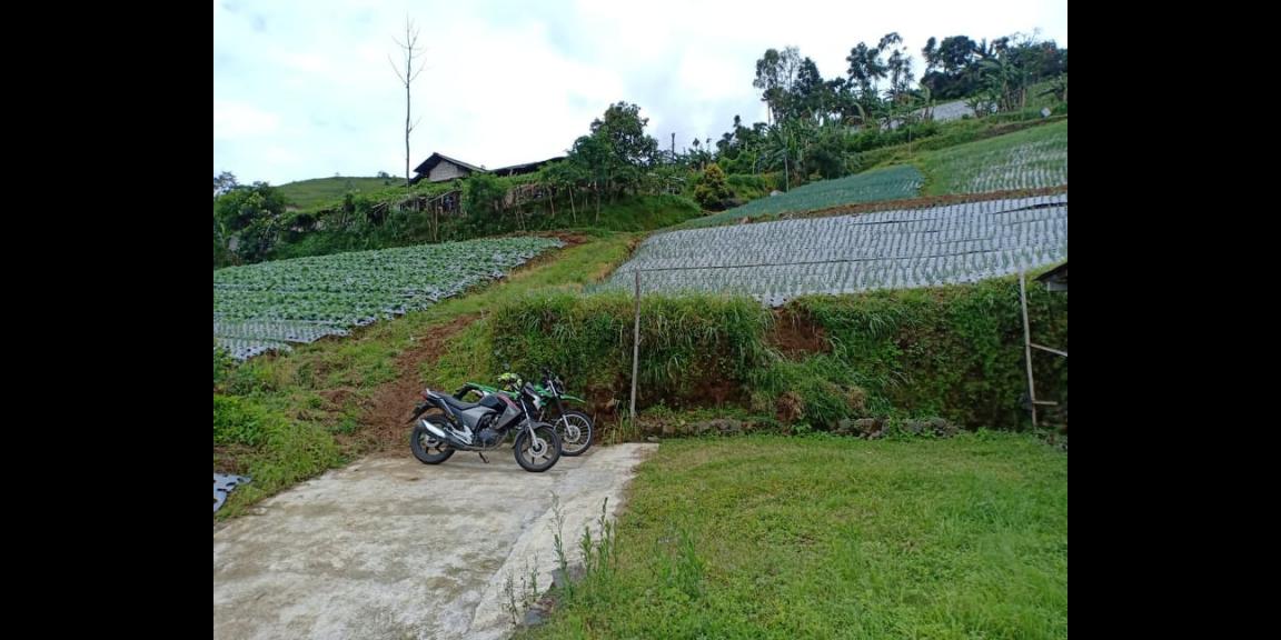 Rumah Vila Siap Huni View Kebun Teh Kemuning Ngargoyoso Karanganyar Rumah Vila Siap Huni View Kebun Teh Kemuning Ngargoyoso Karanganyar