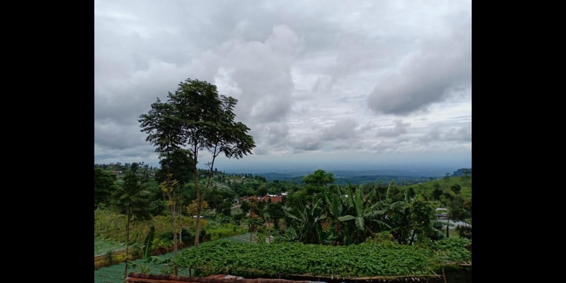 Rumah Vila Siap Huni View Kebun Teh Kemuning Ngargoyoso Karanganyar Rumah Vila Siap Huni View Kebun Teh Kemuning Ngargoyoso Karanganyar