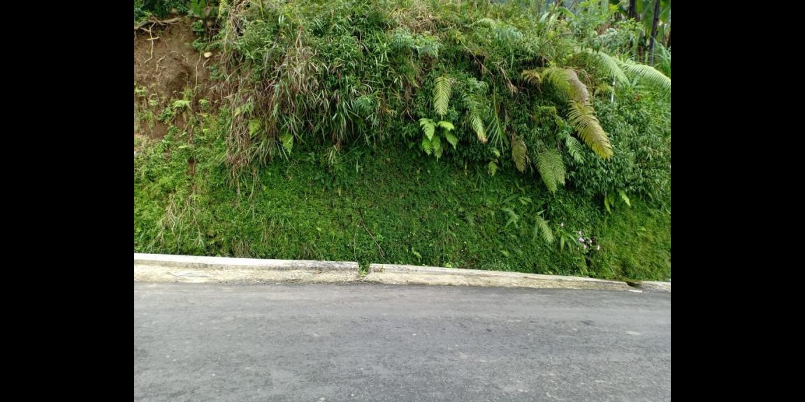 Tanah Tepi Jl. Raya View Kebun Teh Kemuning Ngargoyoso Karanganyar Tanah Tepi Jl. Raya View Kebun Teh Kemuning Ngargoyoso Karanganyar