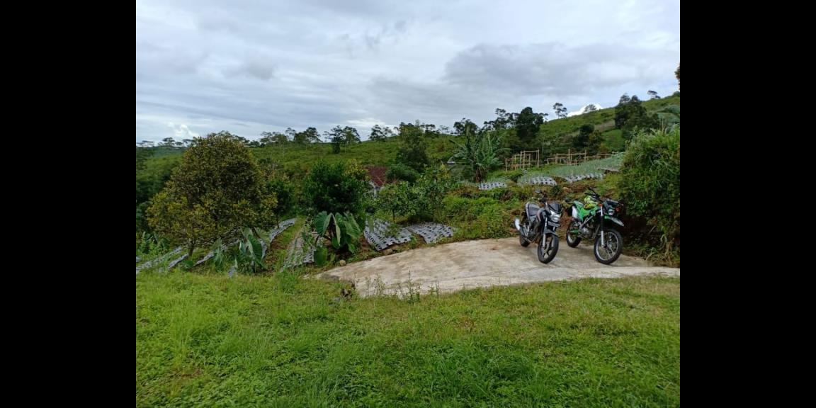 Rumah Vila Siap Huni View Kebun Teh Kemuning Ngargoyoso Karanganyar Rumah Vila Siap Huni View Kebun Teh Kemuning Ngargoyoso Karanganyar
