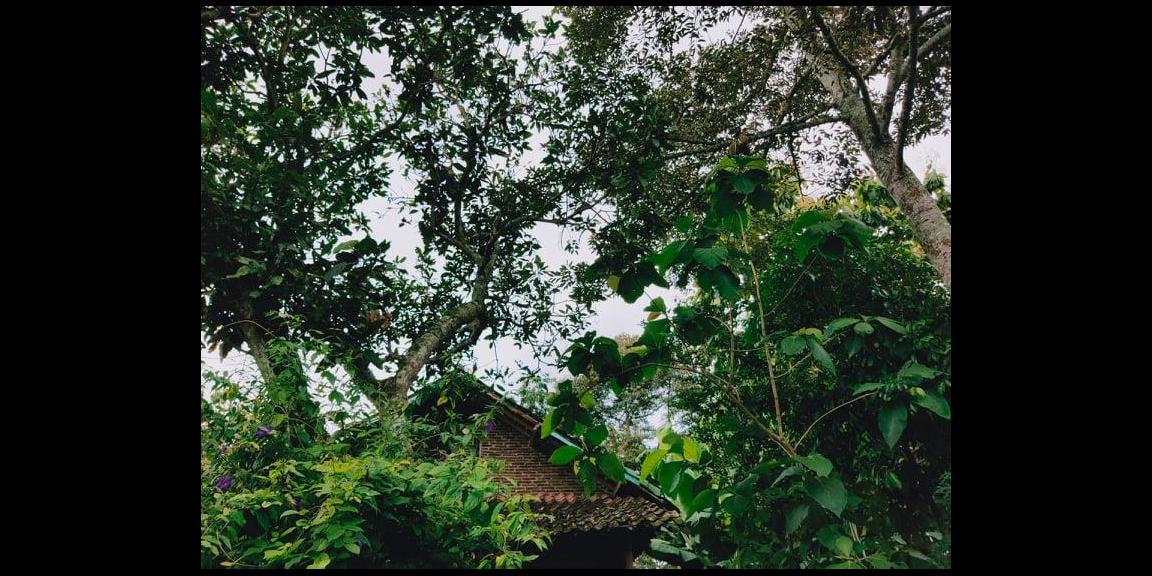 Rumah Siap Huni di Desa Wisata Karangpandan Karanganyar Rumah Siap Huni di Desa Wisata Karangpandan Karanganyar