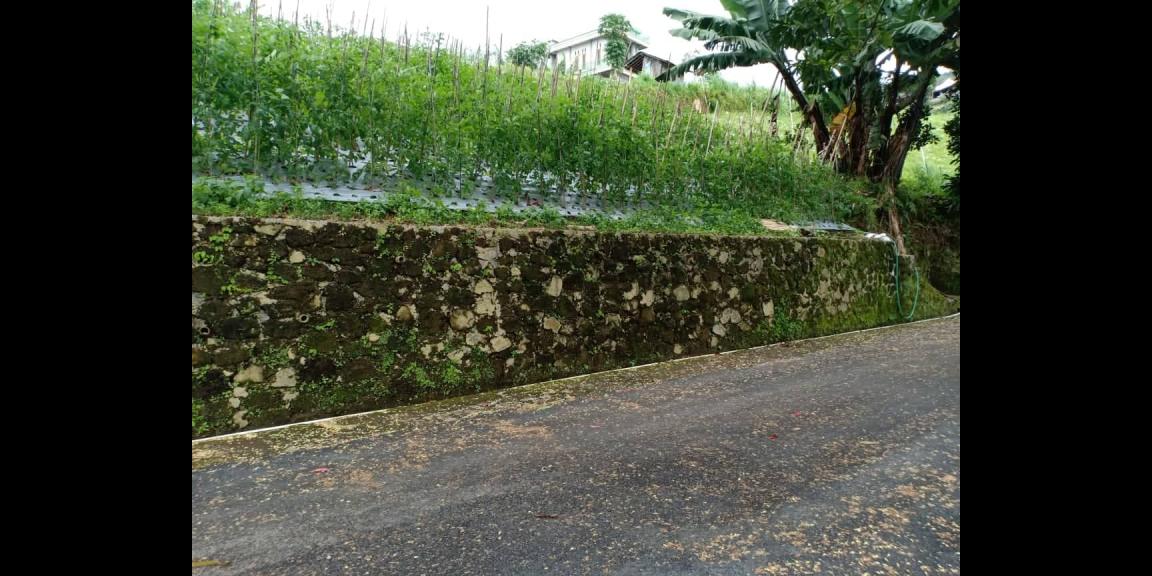 Tanah Strategis Dibangun Vila Dekat Parang Ijo Kemuning Ngargoyoso Kra Tanah Strategis Dibangun Vila Dekat Parang Ijo Kemuning Ngargoyoso Kra