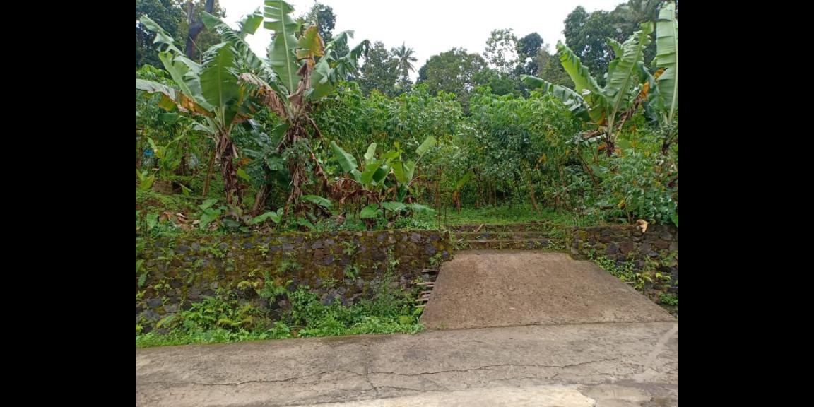 Tanah View Sawah Utara Pasar Karangpandan Karanganyar Tanah View Sawah Utara Pasar Karangpandan Karanganyar