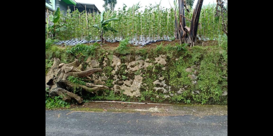 Tanah Strategis Dibangun Vila Dekat Parang Ijo Kemuning Ngargoyoso Kra Tanah Strategis Dibangun Vila Dekat Parang Ijo Kemuning Ngargoyoso Kra