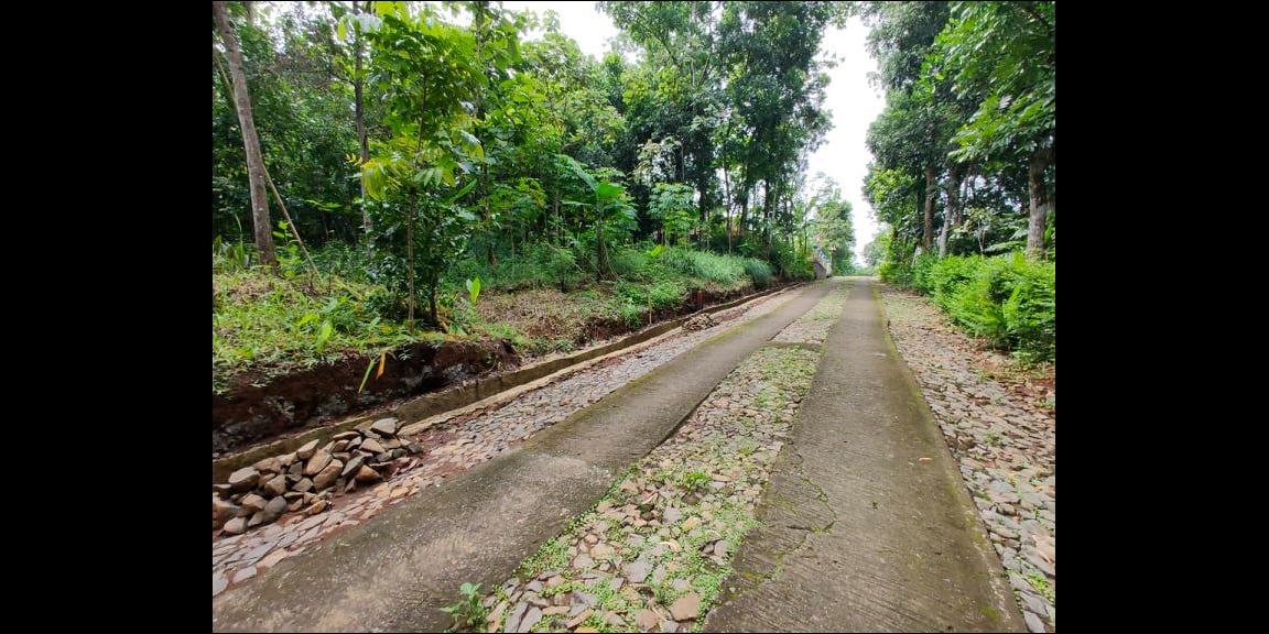 Tanah Datar Selatan Pasar Batujamus Mojogedang Karanganyar Tanah Datar Selatan Pasar Batujamus Mojogedang Karanganyar
