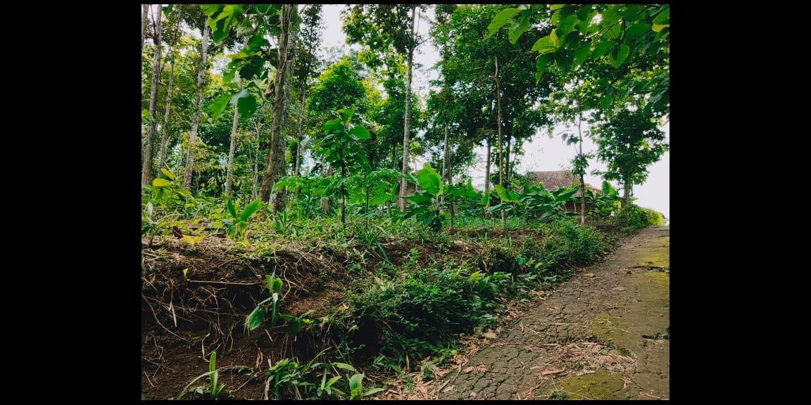 Rumah Siap Huni di Desa Wisata Karangpandan Karanganyar Rumah Siap Huni di Desa Wisata Karangpandan Karanganyar