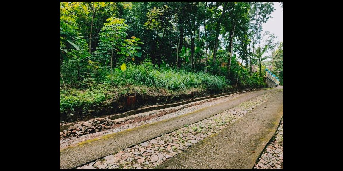 Tanah Datar Selatan Pasar Batujamus Mojogedang Karanganyar Tanah Datar Selatan Pasar Batujamus Mojogedang Karanganyar