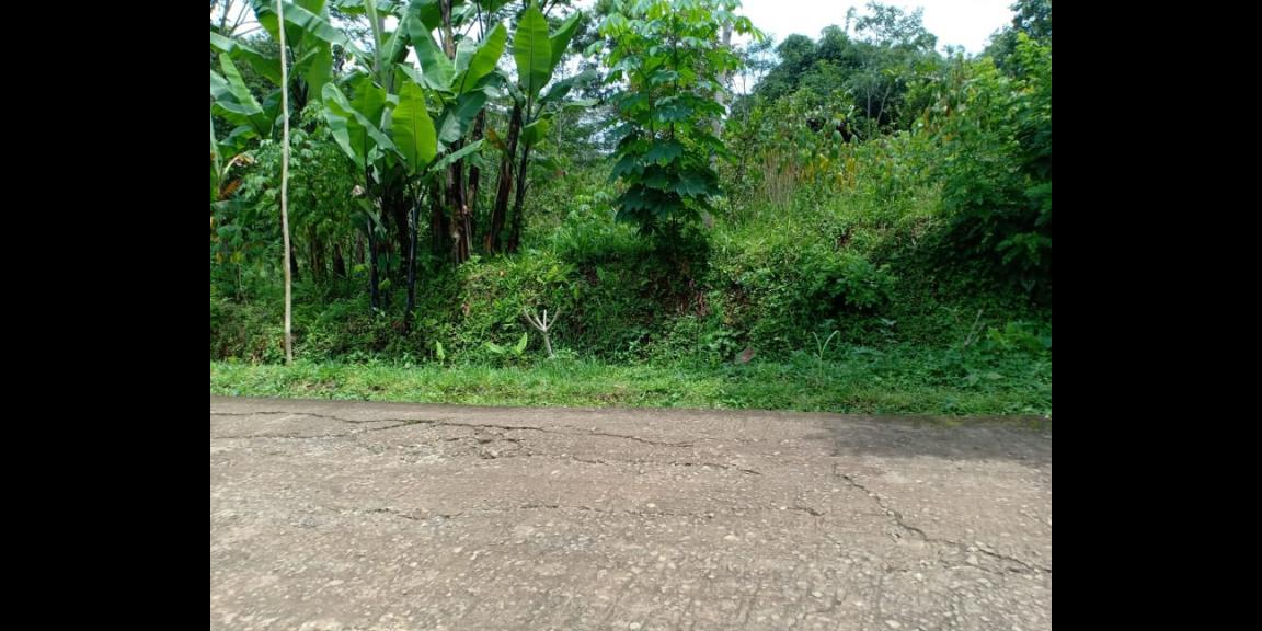 Tanah 3476m² Strtegis Dibangun Vila Dekat Terminal Wisata Karangpandan Tanah 3476m² Strtegis Dibangun Vila Dekat Terminal Wisata Karangpandan