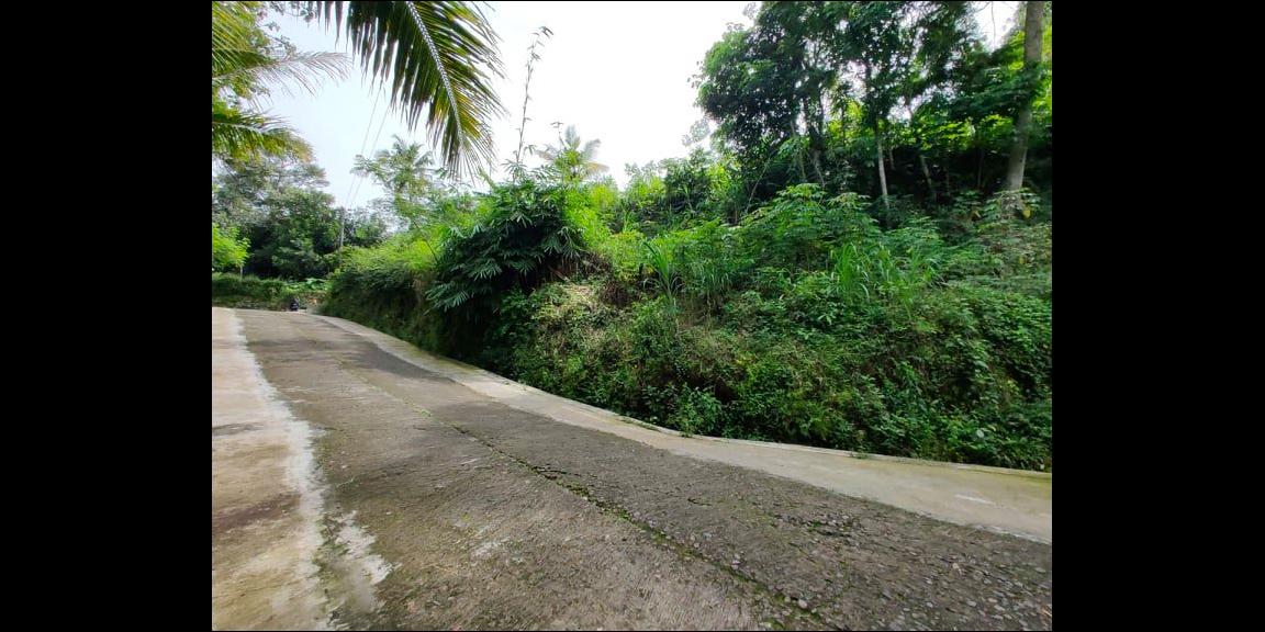 Tanah Idaman Strategis Buka Usaha Tepi Jl. Raya Mojogedang-Karanganyar Tanah Idaman Strategis Buka Usaha Tepi Jl. Raya Mojogedang-Karanganyar