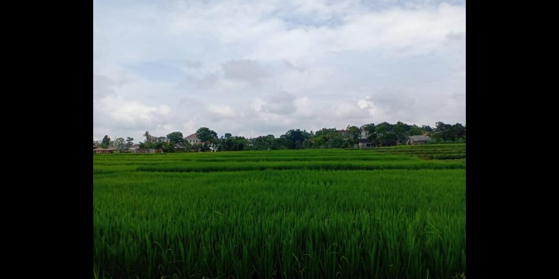 Tanah 3476m² Strtegis Dibangun Vila Dekat Terminal Wisata Karangpandan Tanah 3476m² Strtegis Dibangun Vila Dekat Terminal Wisata Karangpandan