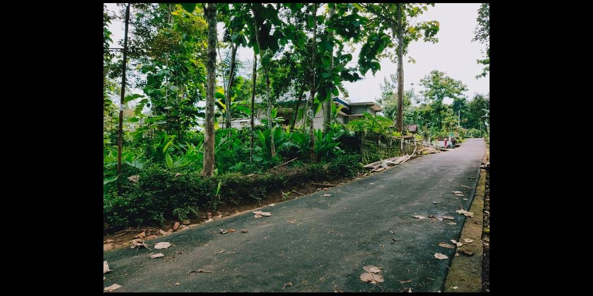 Tanah Strategis Dibangun Rumah Tinggal Dekat Pasar Karangpandan Kra Tanah Strategis Dibangun Rumah Tinggal Dekat Pasar Karangpandan Kra
