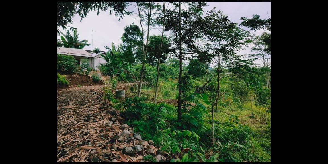 Tanah 3476m² Strtegis Dibangun Vila Dekat Terminal Wisata Karangpandan Tanah 3476m² Strtegis Dibangun Vila Dekat Terminal Wisata Karangpandan