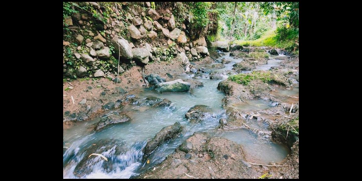 Tanah 2015m² Barat Kantor Kecamatan Karangpandan Karanganyar Tanah 2015m² Barat Kantor Kecamatan Karangpandan Karanganyar