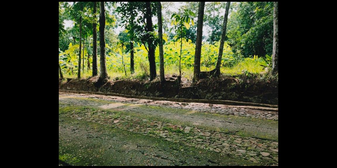 Tanah Datar Selatan Pasar Batujamus Mojogedang Karanganyar Tanah Datar Selatan Pasar Batujamus Mojogedang Karanganyar