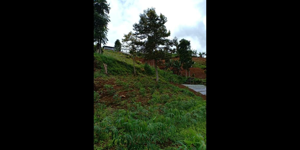 Rumah Vila Siap Huni View Kebun Teh Kemuning Ngargoyoso Karanganyar Rumah Vila Siap Huni View Kebun Teh Kemuning Ngargoyoso Karanganyar