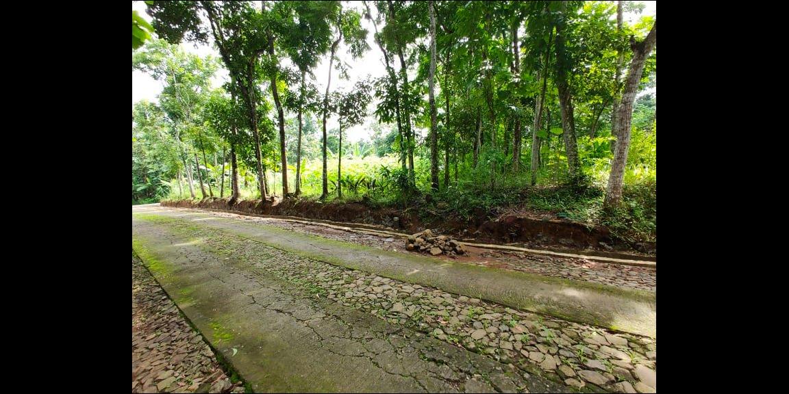 Tanah Datar Selatan Pasar Batujamus Mojogedang Karanganyar Tanah Datar Selatan Pasar Batujamus Mojogedang Karanganyar