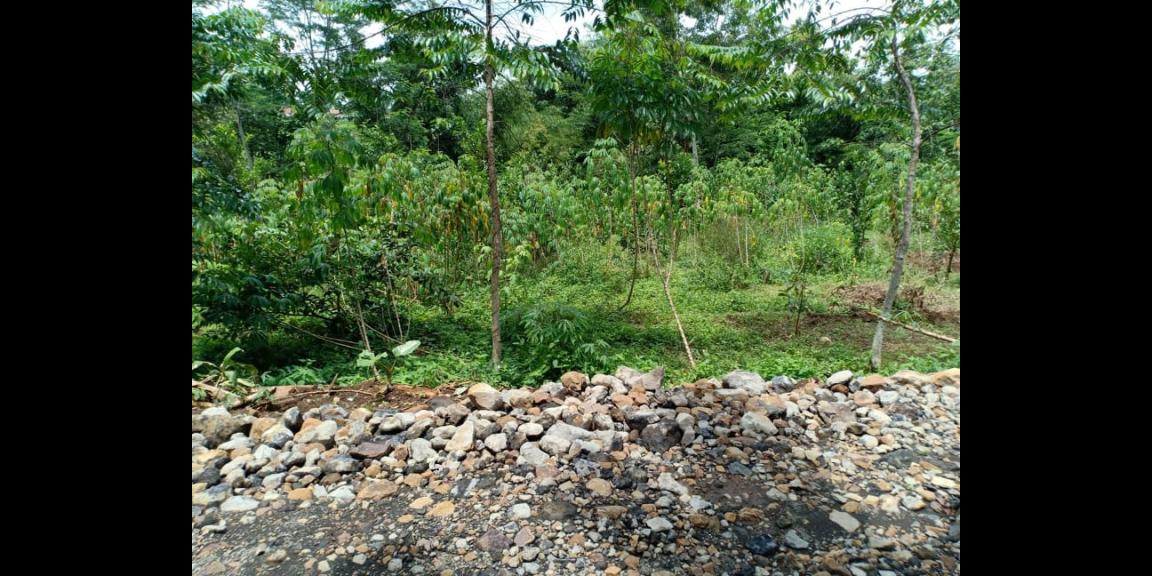 Tanah 3476m² Strtegis Dibangun Vila Dekat Terminal Wisata Karangpandan Tanah 3476m² Strtegis Dibangun Vila Dekat Terminal Wisata Karangpandan