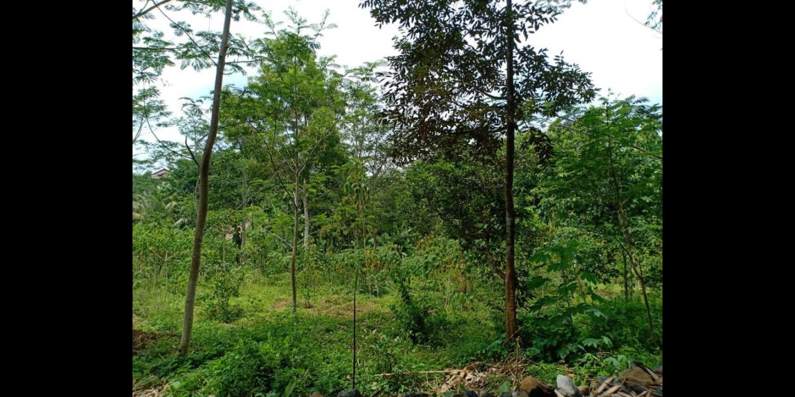 Tanah 3476m² Strtegis Dibangun Vila Dekat Terminal Wisata Karangpandan Tanah 3476m² Strtegis Dibangun Vila Dekat Terminal Wisata Karangpandan