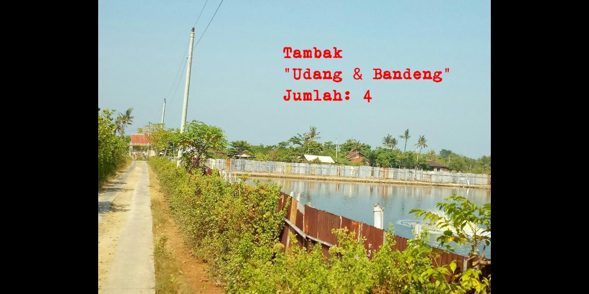 Jual tanah dan Tambak di Pantai blebak jepara Jual tanah dan Tambak di Pantai blebak jepara