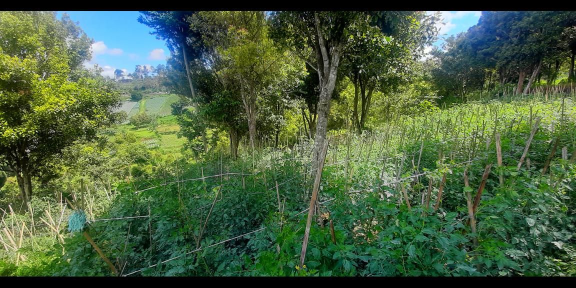 TANAH HUNIAN DAN KOMERSIL DI CIUMBULEUIT BANDUNG TANAH HUNIAN DAN KOMERSIL DI CIUMBULEUIT BANDUNG