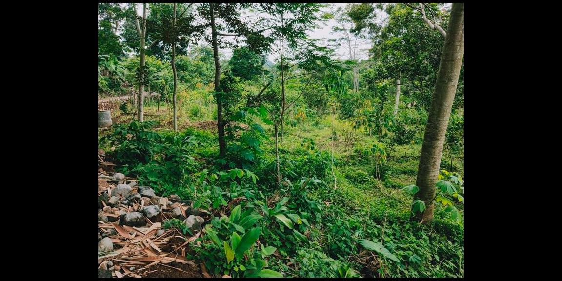 Tanah 3476m² Strtegis Dibangun Vila Dekat Terminal Wisata Karangpandan Tanah 3476m² Strtegis Dibangun Vila Dekat Terminal Wisata Karangpandan