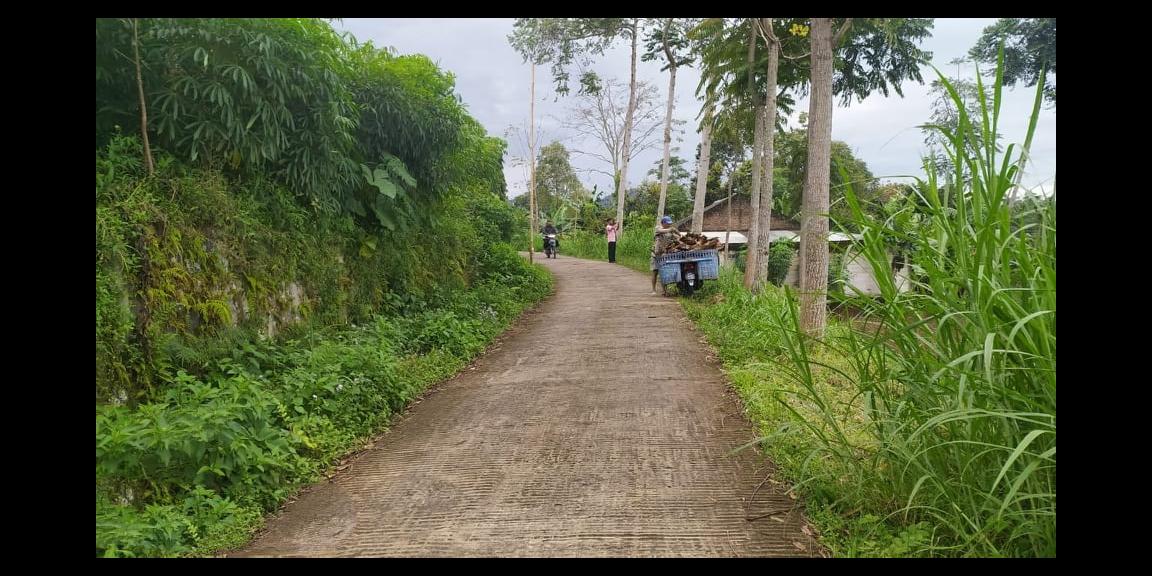 Tanah Idaman View Kebun Teh Kemuning Ngargoyoso Karanganyar Tanah Idaman View Kebun Teh Kemuning Ngargoyoso Karanganyar