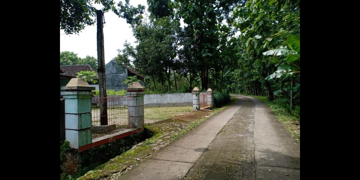 Rumah Siap Huni Kedawung Sragen Rumah Siap Huni Kedawung Sragen